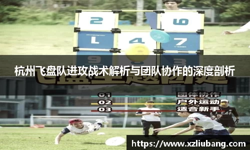 杭州飞盘队进攻战术解析与团队协作的深度剖析